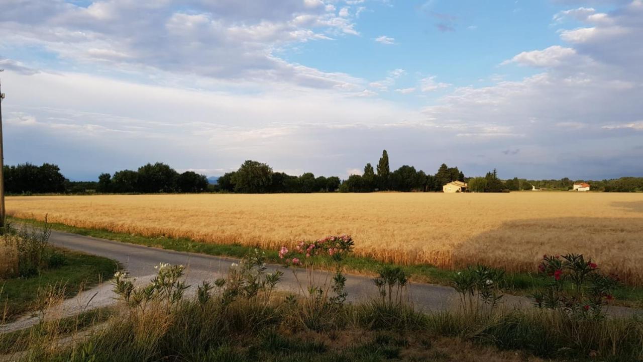 Maison Au Calme En Campagne Climatisee Caderousse Exterior foto
